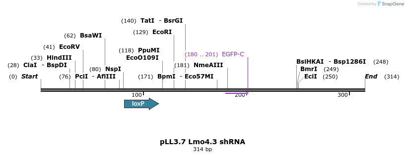 94551_map
