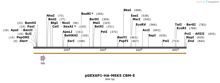 96826_map