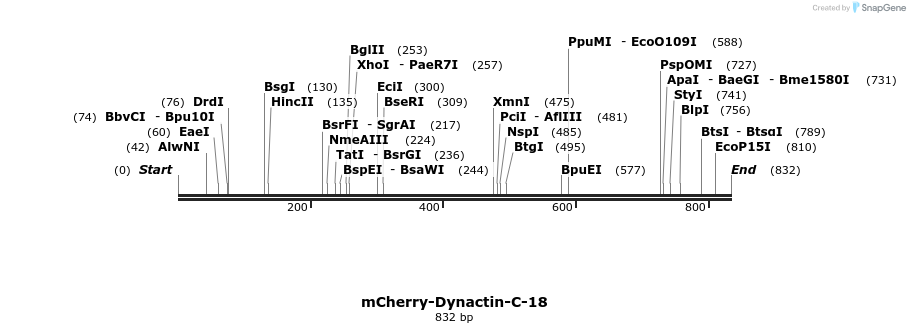 96919_map