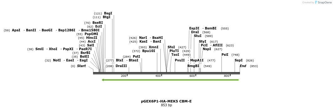 97351_map