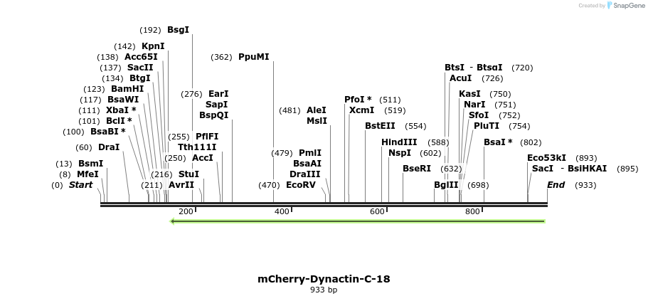 97831_map