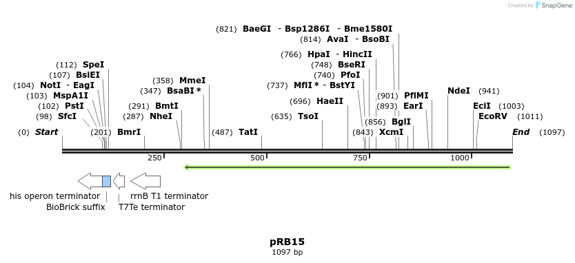 102045_map