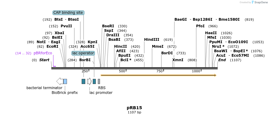 102046_map