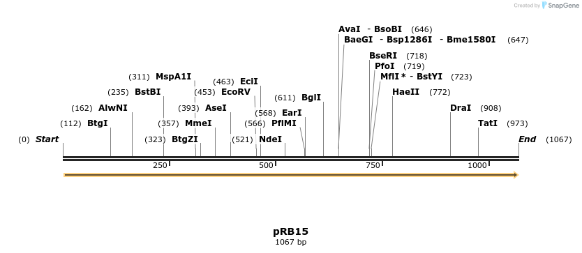 102047_map
