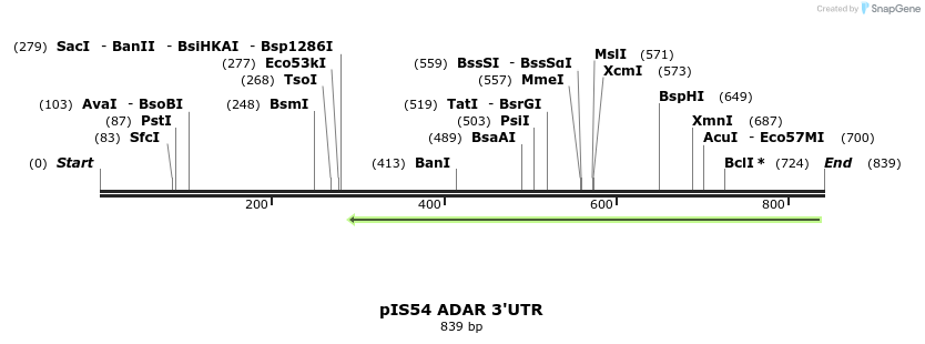 104762_map
