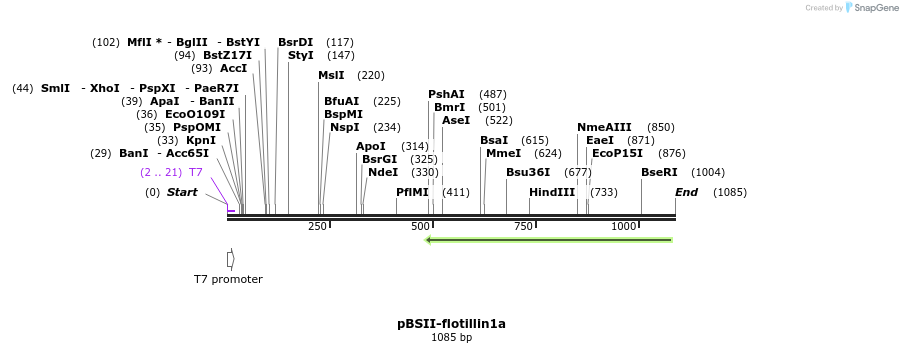 107301_map