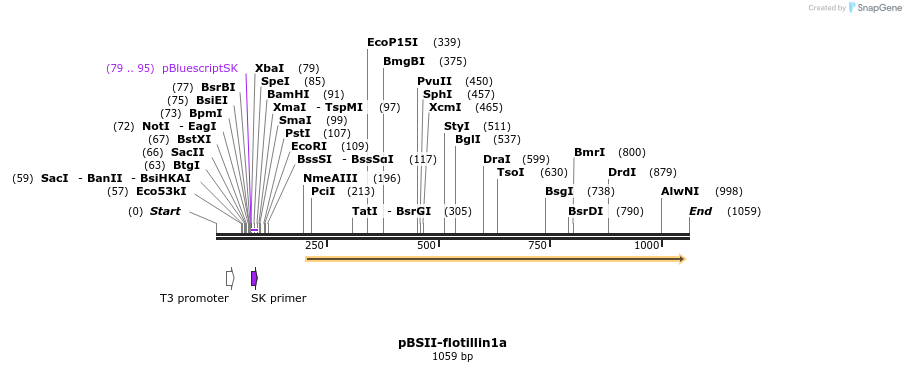 107302_map