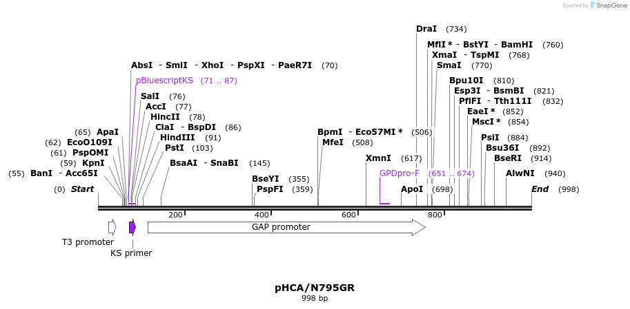 109807_map