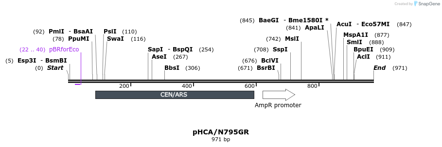 109808_map