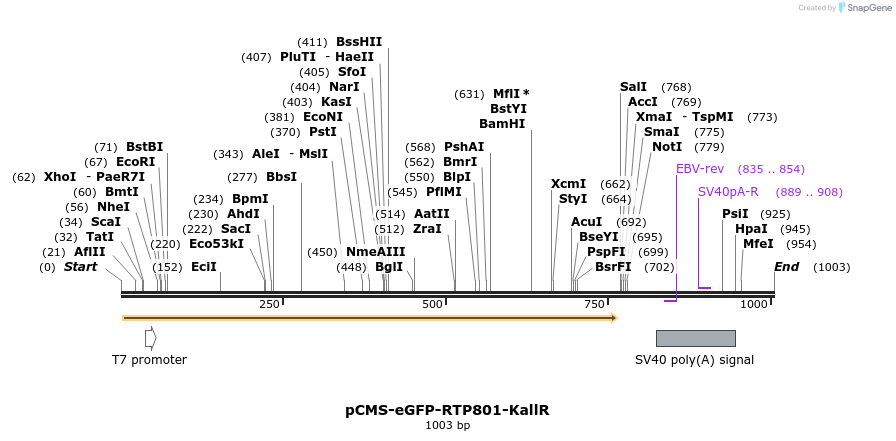 112788_map