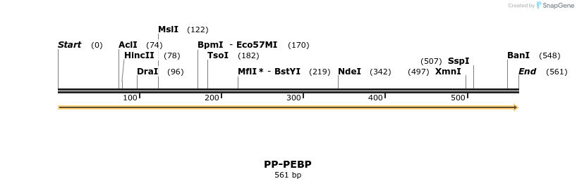 11675_map