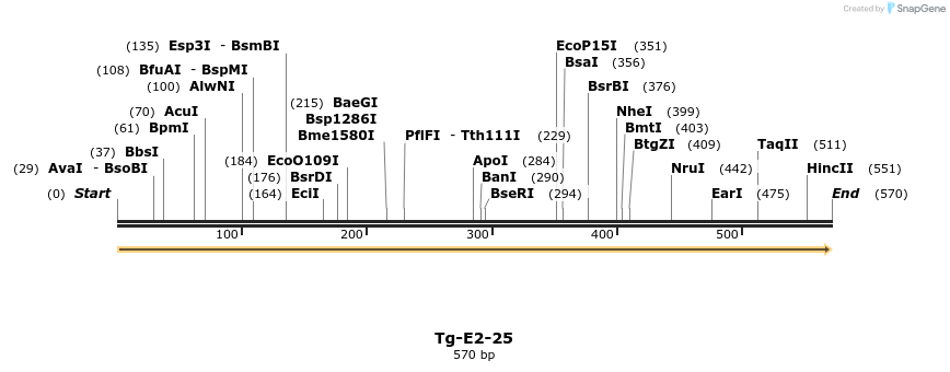 11968_map