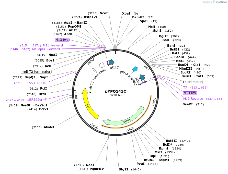 69292-plasmid-map-sequence-id-122130