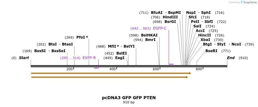 122380_map
