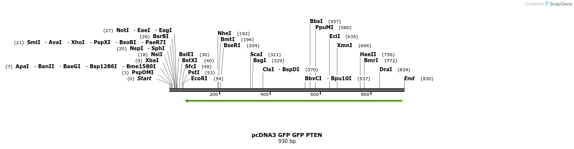 122381_map