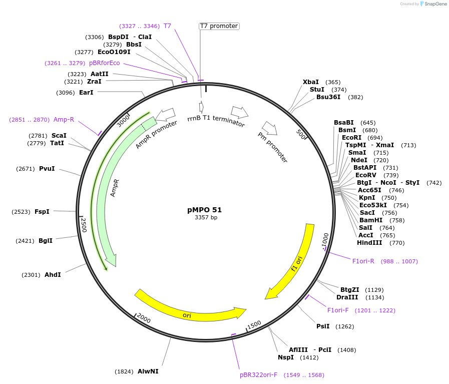 68358-plasmid-map-sequence-id-127652