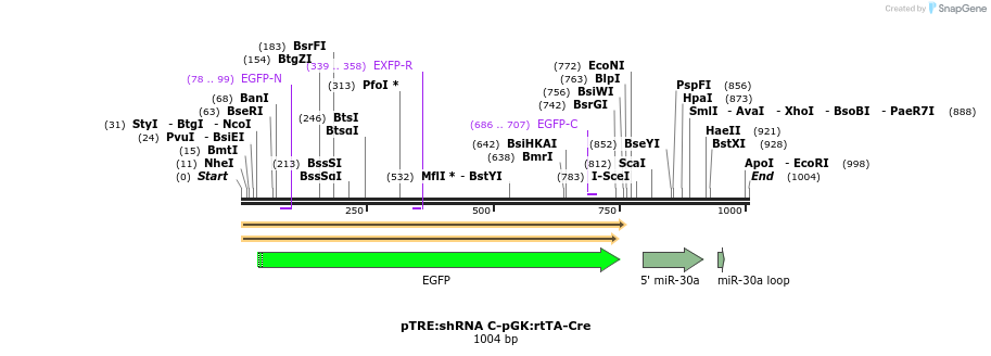 130400_map