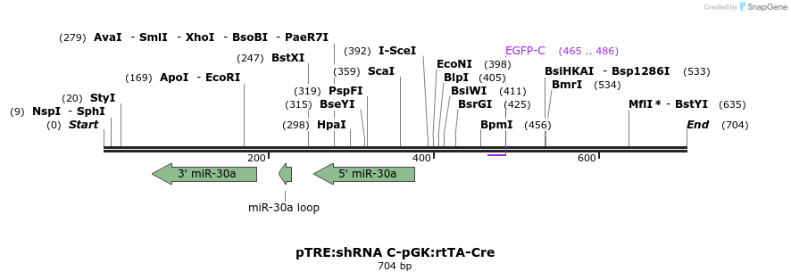 130401_map