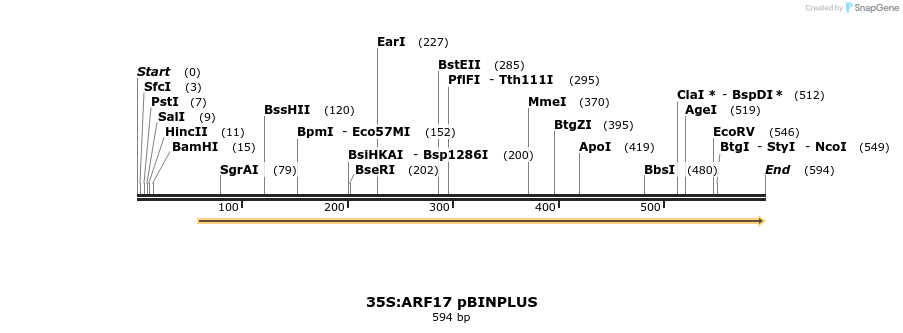 130600_map