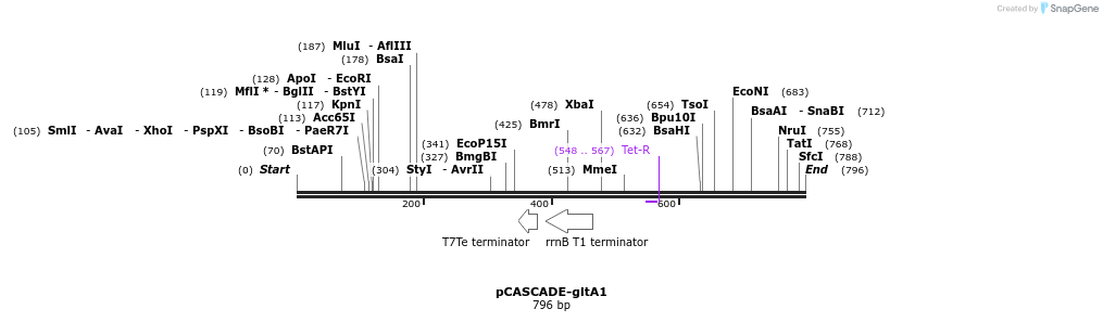 132720_map