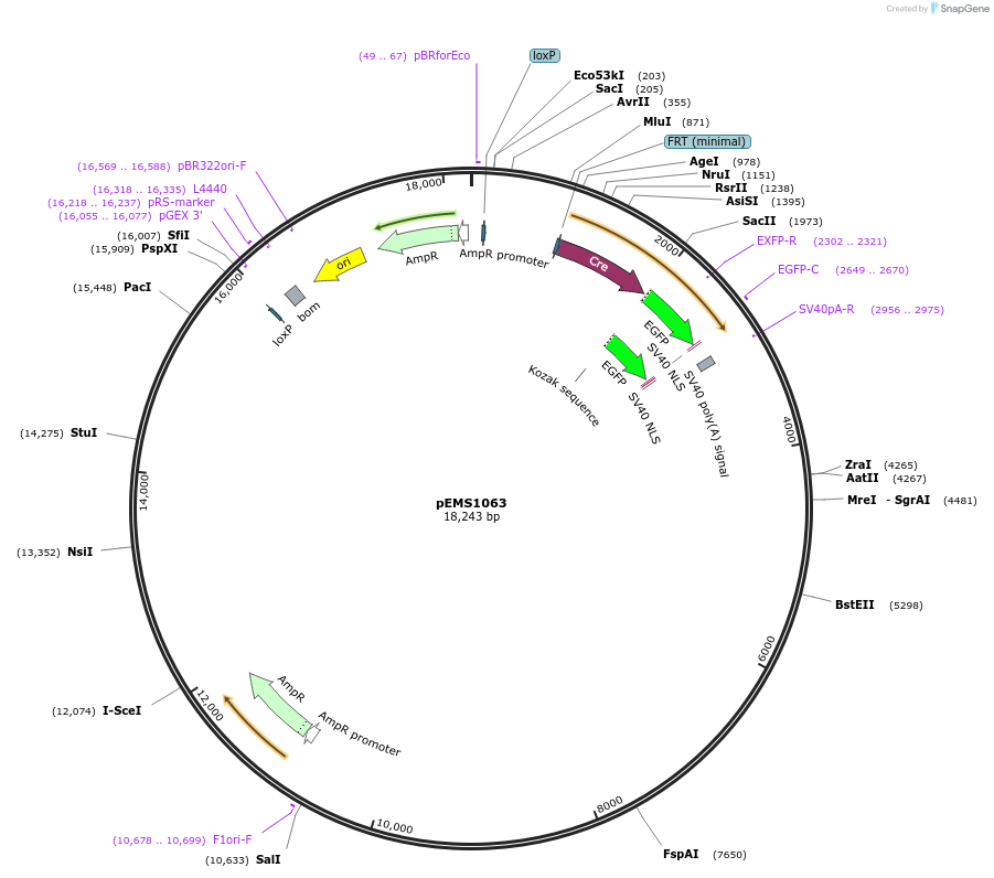 13416_map
