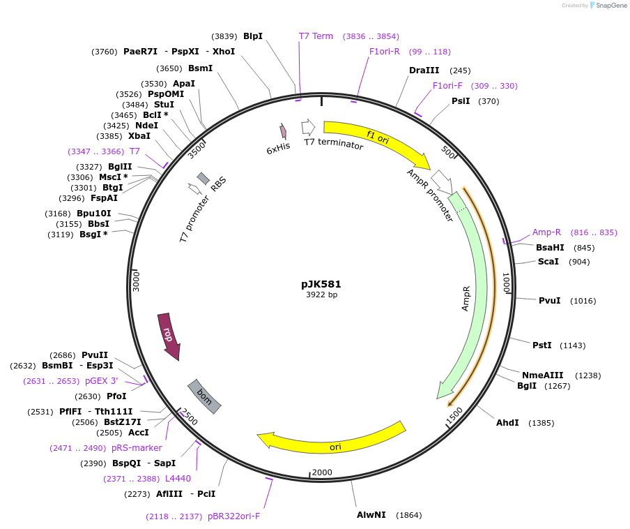 71695-plasmid-map-sequence-id-134492