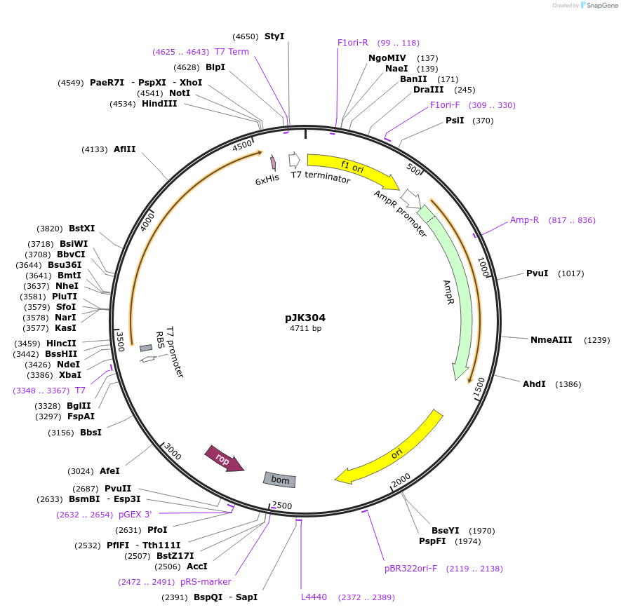 72225-plasmid-map-sequence-id-134624