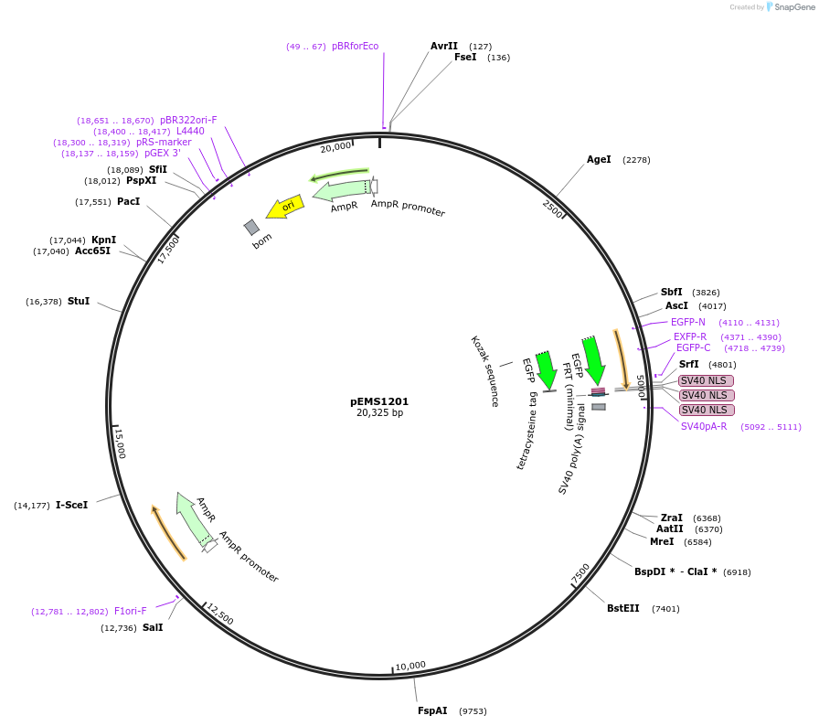 13517_map