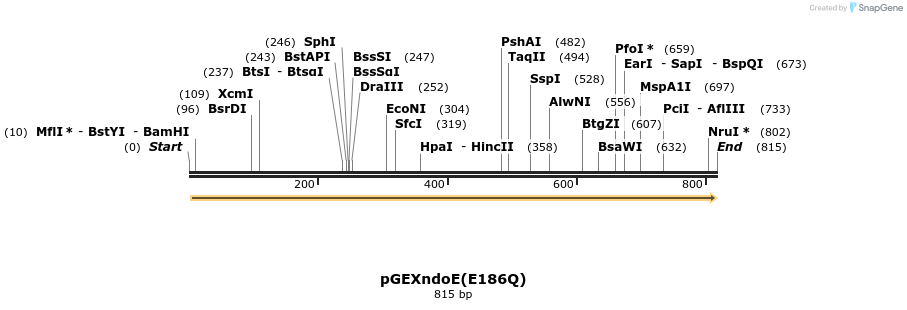135796_map