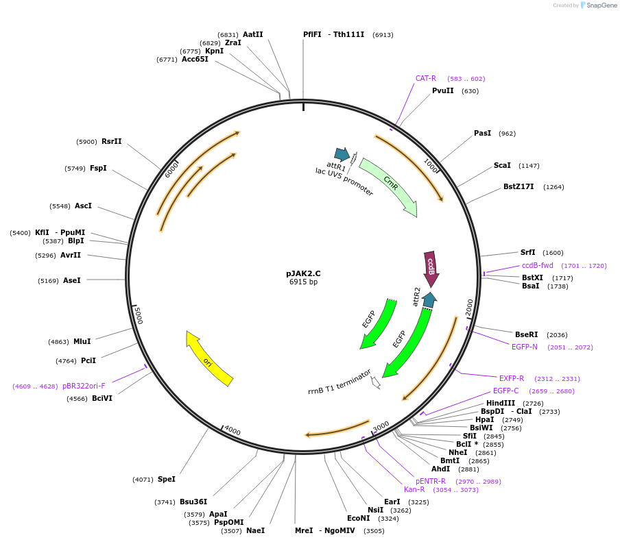13748_map