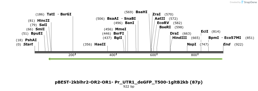 148710_map