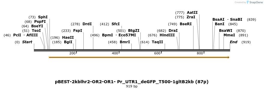 148711_map