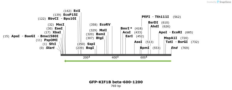 149836_map