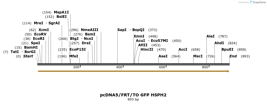 156030_map