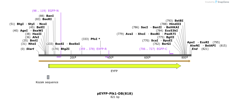 160969_map