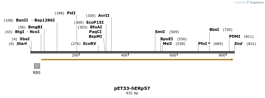 163450_map