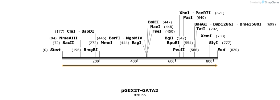 16409_map