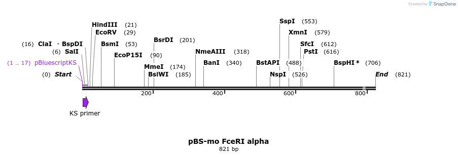 17097_map