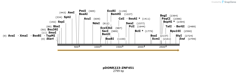 171674_map