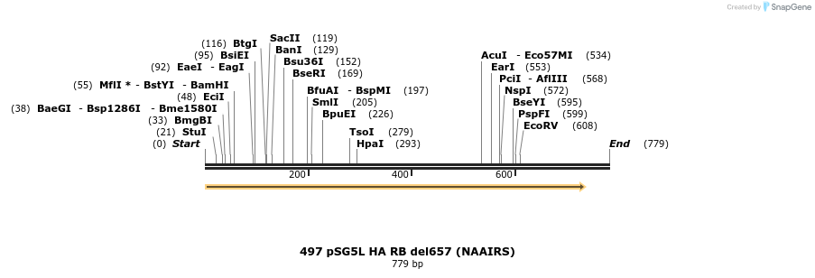 17679_map