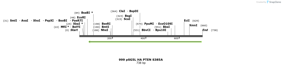 17694_map