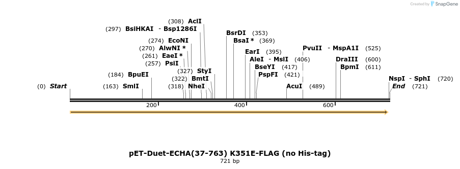 180437_map