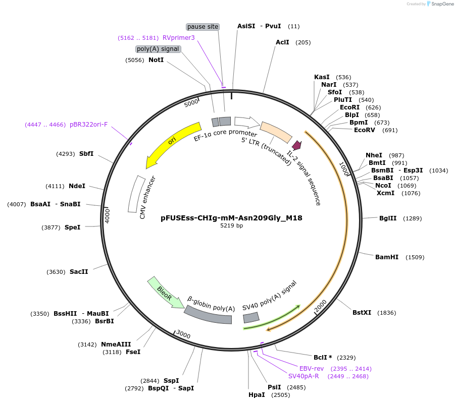 91744-plasmid-map-sequence-id-181005