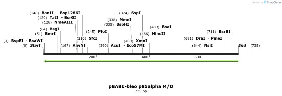18203_map