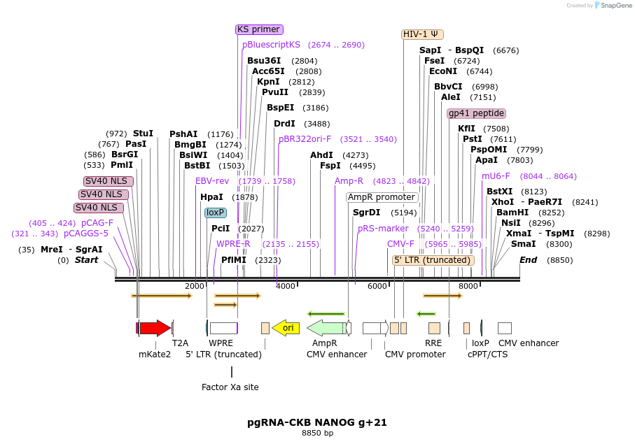 190273_map