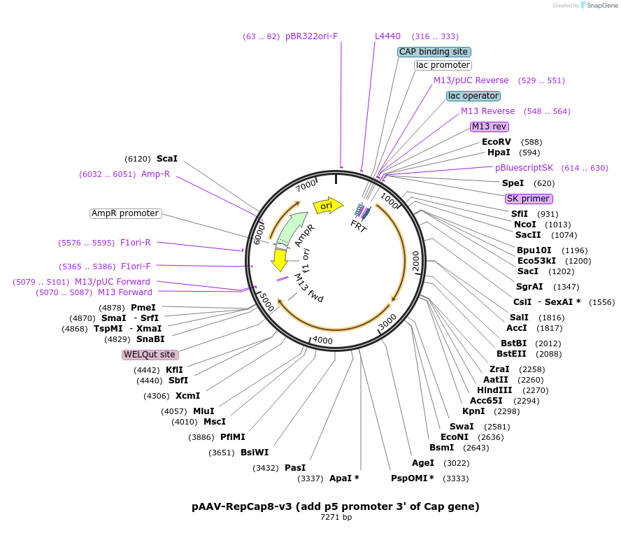 190336_map