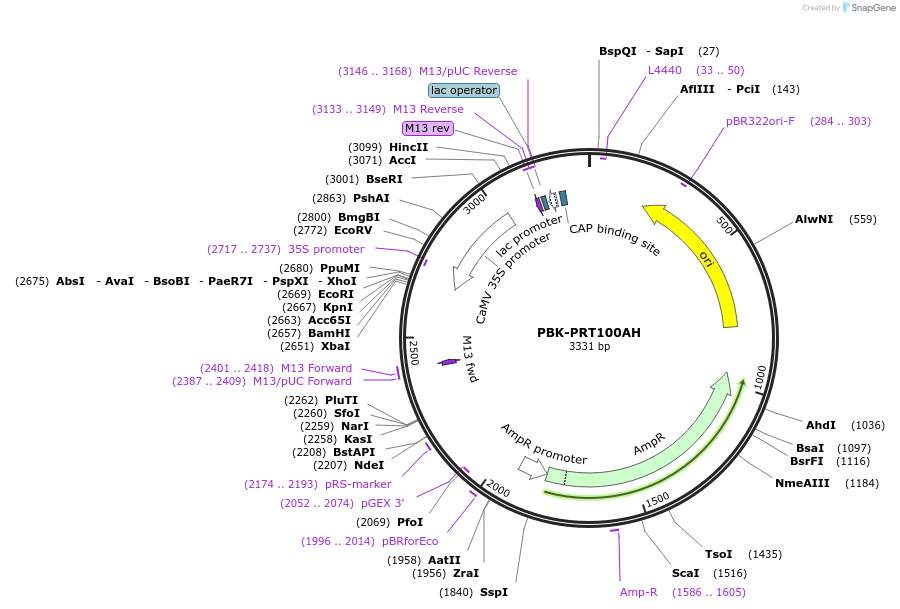 44739-plasmid-map-sequence-id-193962