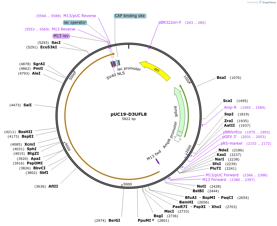 103095-plasmid-map-sequence-id-201805