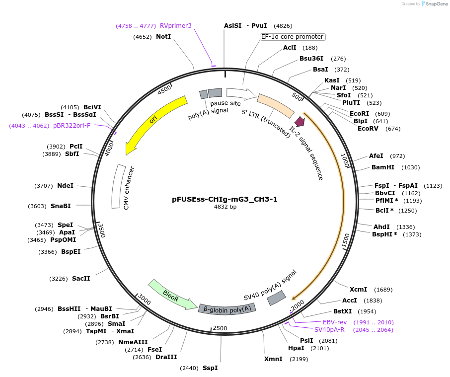 105859-plasmid-map-sequence-id-206031