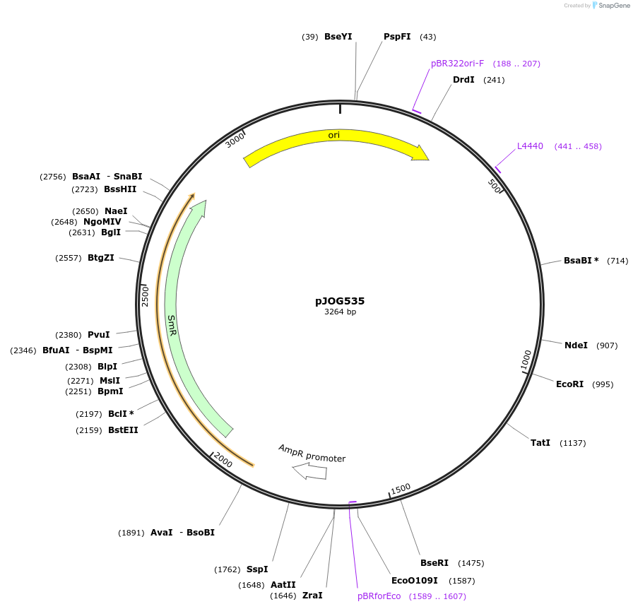 105387-plasmid-map-sequence-id-206386